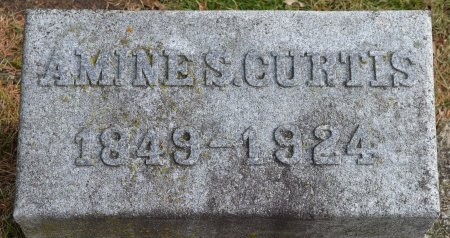CURTIS, AMINE S. “ANNIE” - Jefferson County, Wisconsin | AMINE S. “ANNIE” CURTIS - Wisconsin Gravestone Photos