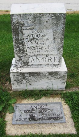 ANDRE, LOUISE - Kewaunee County, Wisconsin | LOUISE ANDRE - Wisconsin Gravestone Photos