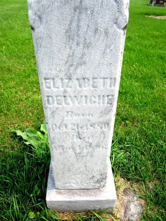DELWICHE, ELIZABETH - Kewaunee County, Wisconsin | ELIZABETH DELWICHE - Wisconsin Gravestone Photos
