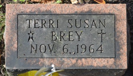 BREY, TERRI SUSAN - Rock County, Wisconsin | TERRI SUSAN BREY - Wisconsin Gravestone Photos