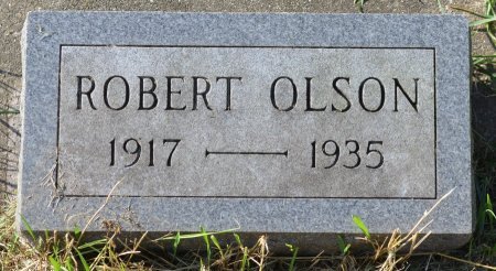 OLSON, ROBERT - Rock County, Wisconsin | ROBERT OLSON - Wisconsin Gravestone Photos