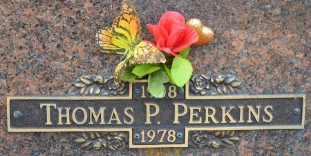 PERKINS, THOMAS P. - Rock County, Wisconsin | THOMAS P. PERKINS - Wisconsin Gravestone Photos