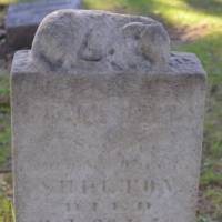Frank Davy SHELTON