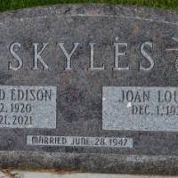 Richard Edison SKYLES